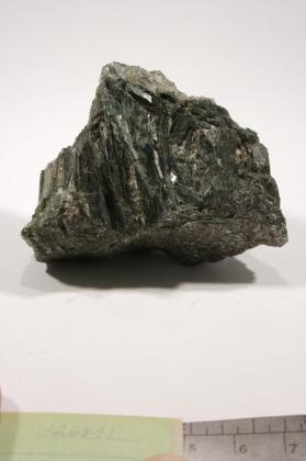 Actinolite