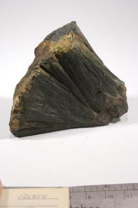 Actinolite