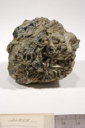 Actinolite