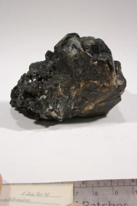 Pargasite