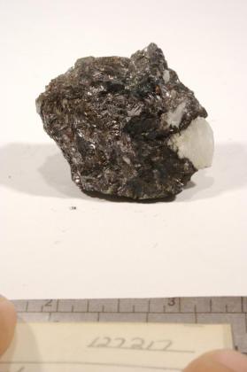 Galena with CALCITE