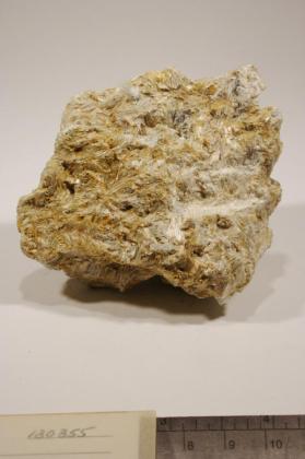 Anthophyllite