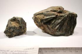 Actinolite with ALMANDINE