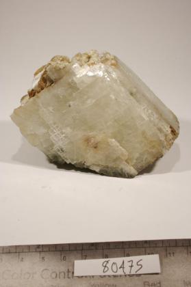 Actinolite