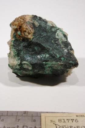 Djurleite