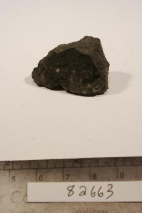 Lautite