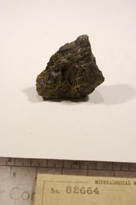 Lautite