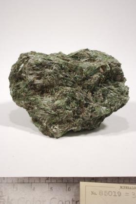 Actinolite