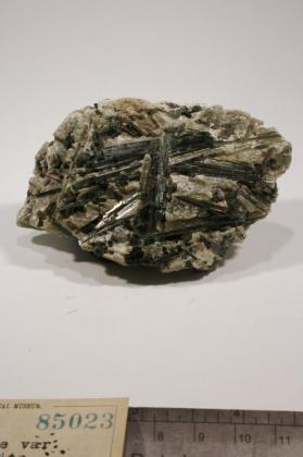 Actinolite