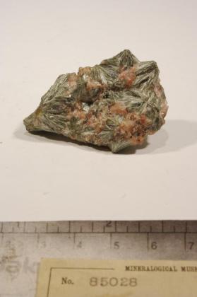 Actinolite