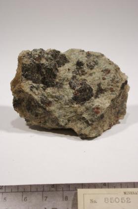 Hornblende with KYANITE