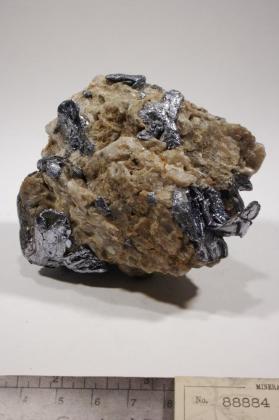 Molybdenite