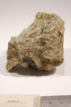 Hastingsite