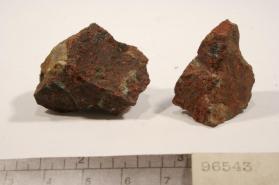 ammiolite