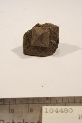 Hauerite