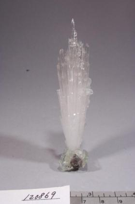 SCOLECITE