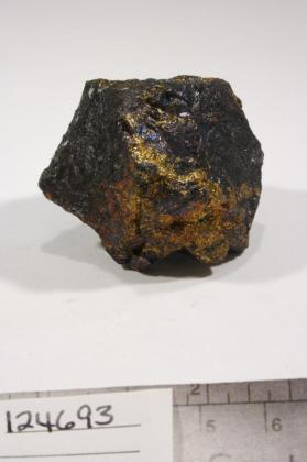 Renierite