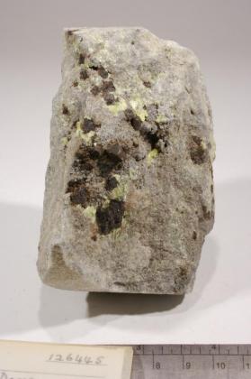 Hauerite