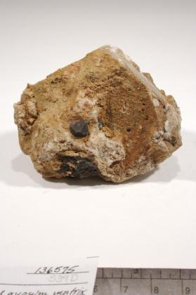 Hauerite