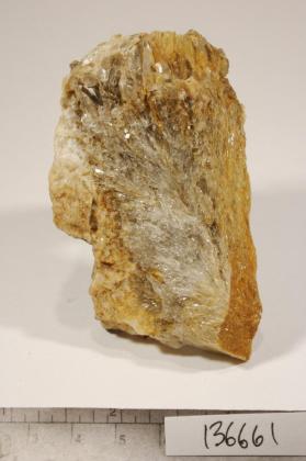 Muscovite