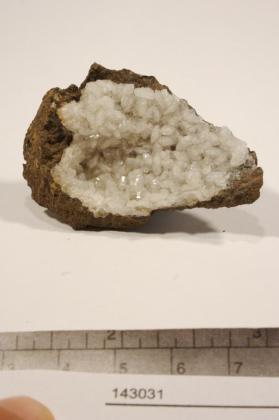 phacolite