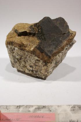 Pyrosmalite-(Mn)