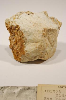 Hidalgoite