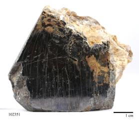 Columbite-(Fe)