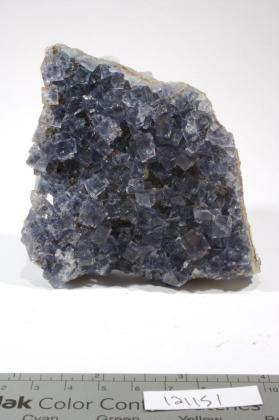 FLUORITE with Chalcopyrite and Siderite
