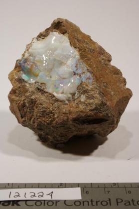 OPAL