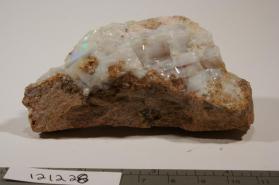 OPAL