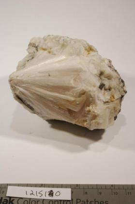 Pectolite