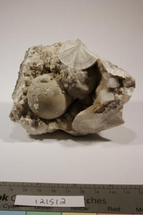 Pectolite