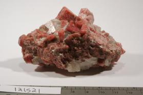 RHODONITE