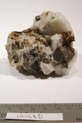 TREMOLITE