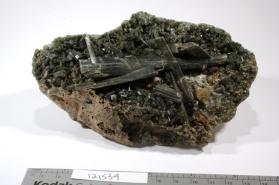 Actinolite