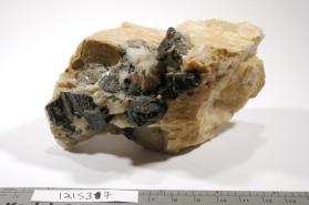 Hornblende