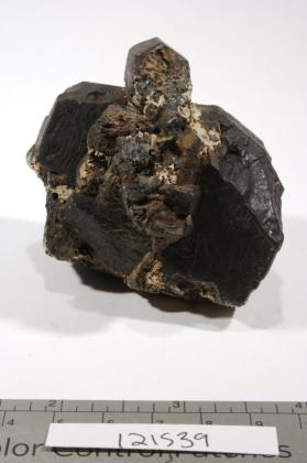 Hornblende