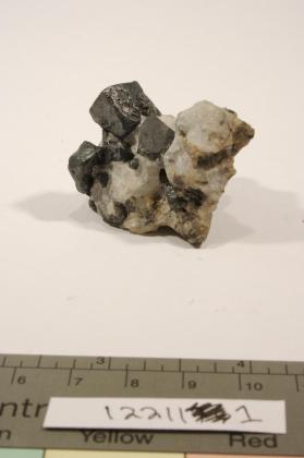 argentite with CALCITE