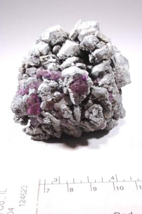 Galena with FLUORITE