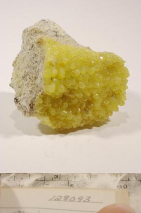 Sulfur