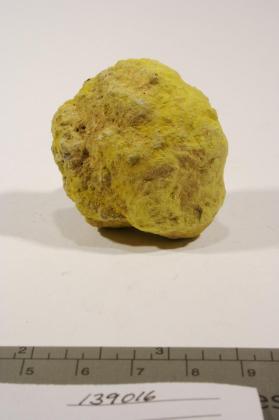 Beaverite-(Cu)