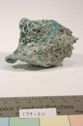 Lammerite