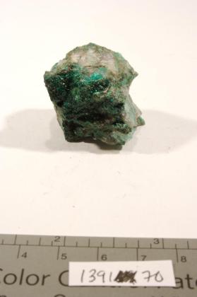 Paratacamite