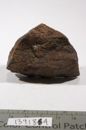 Renierite