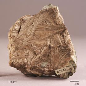 Stevensite