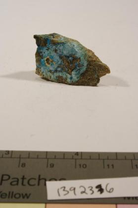 whelanite