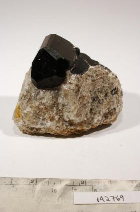 SCHORL with Quartz