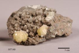 Stellerite