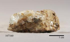 Whitlockite
